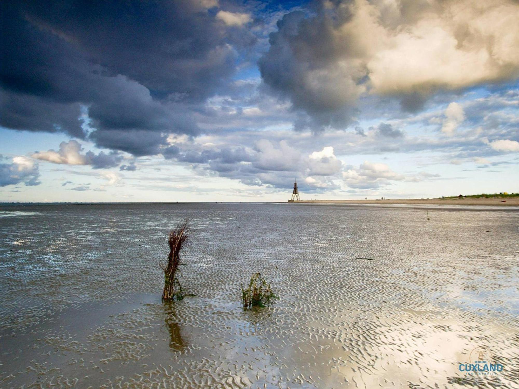 Haus Elbe Doese Wohnung 16 Cuxhaven Esterno foto